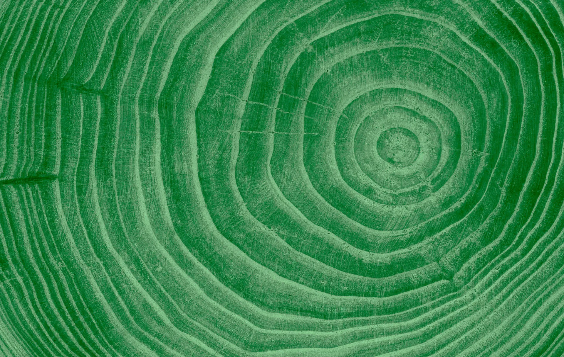 Descubra como nossos paletes e embalagens
otimizam sua operação com eficiência, inovação,
economia e responsabilidade ambiental.