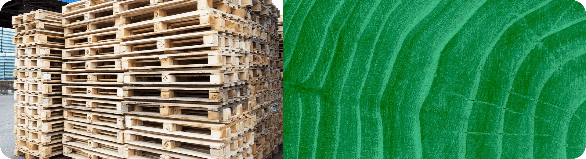 Soluções sustentáveis
para o seu negócio